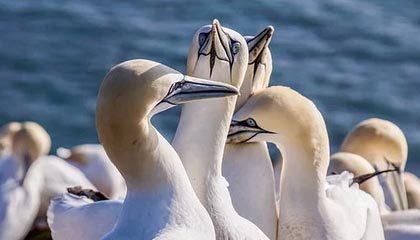 这次是真的有点离谱，关于每日大赛AI：谁能不被震撼