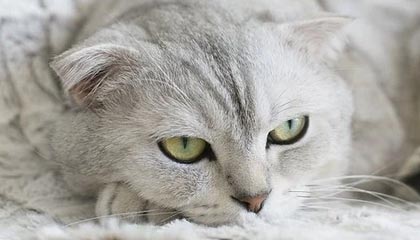 藏在角落里的信息量反而更大，关于每日大赛黑料，很多人错过的恰恰是最有用的部分，背后到底藏着什么？
